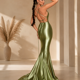 Noor Formal Dress NP143